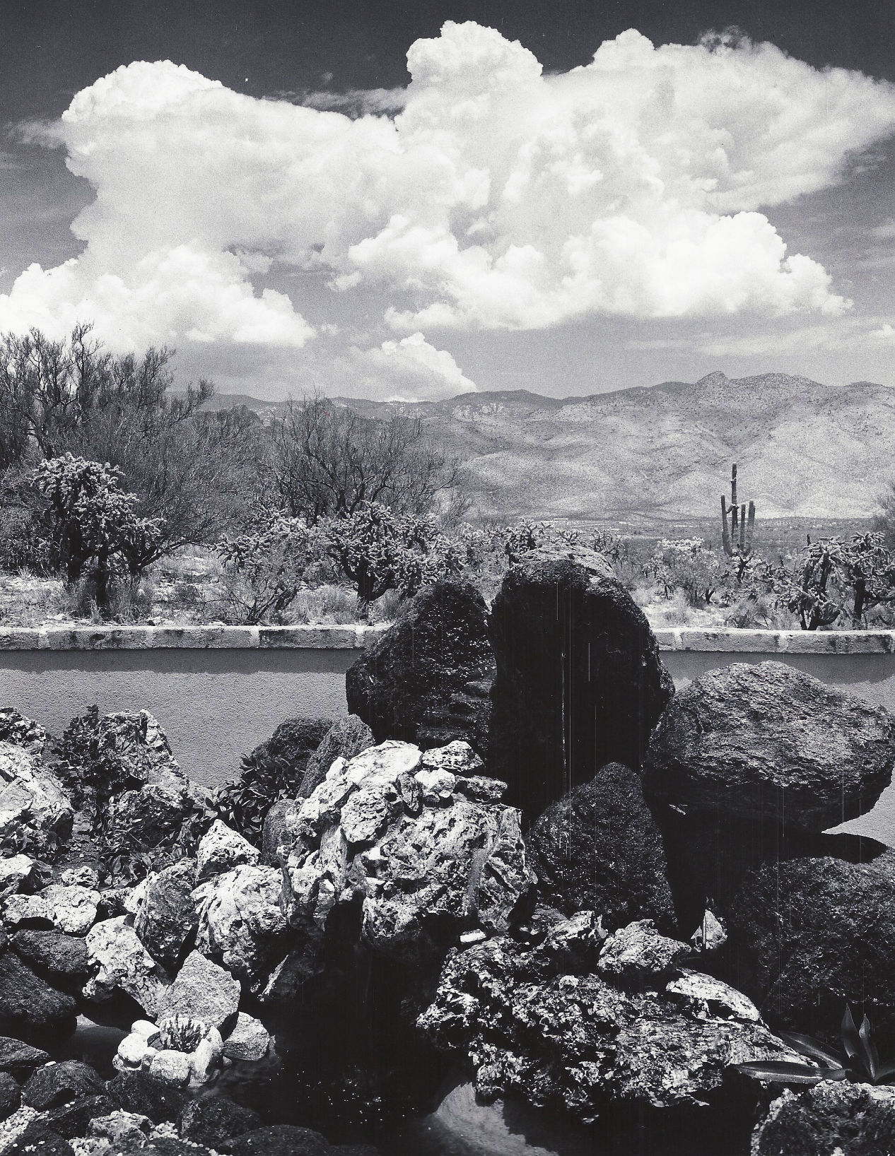 1960 Tucson home photos: Family enjoys a casual life